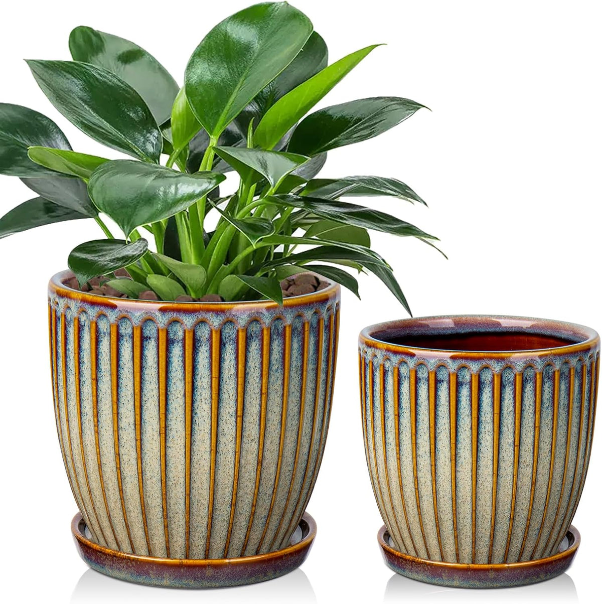 Planters