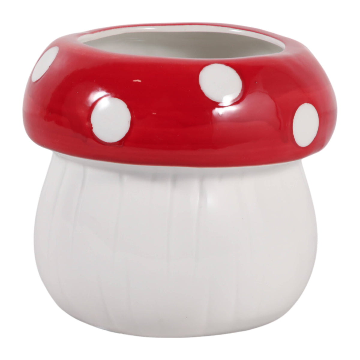 Polka-Dot Mushroom 5 in