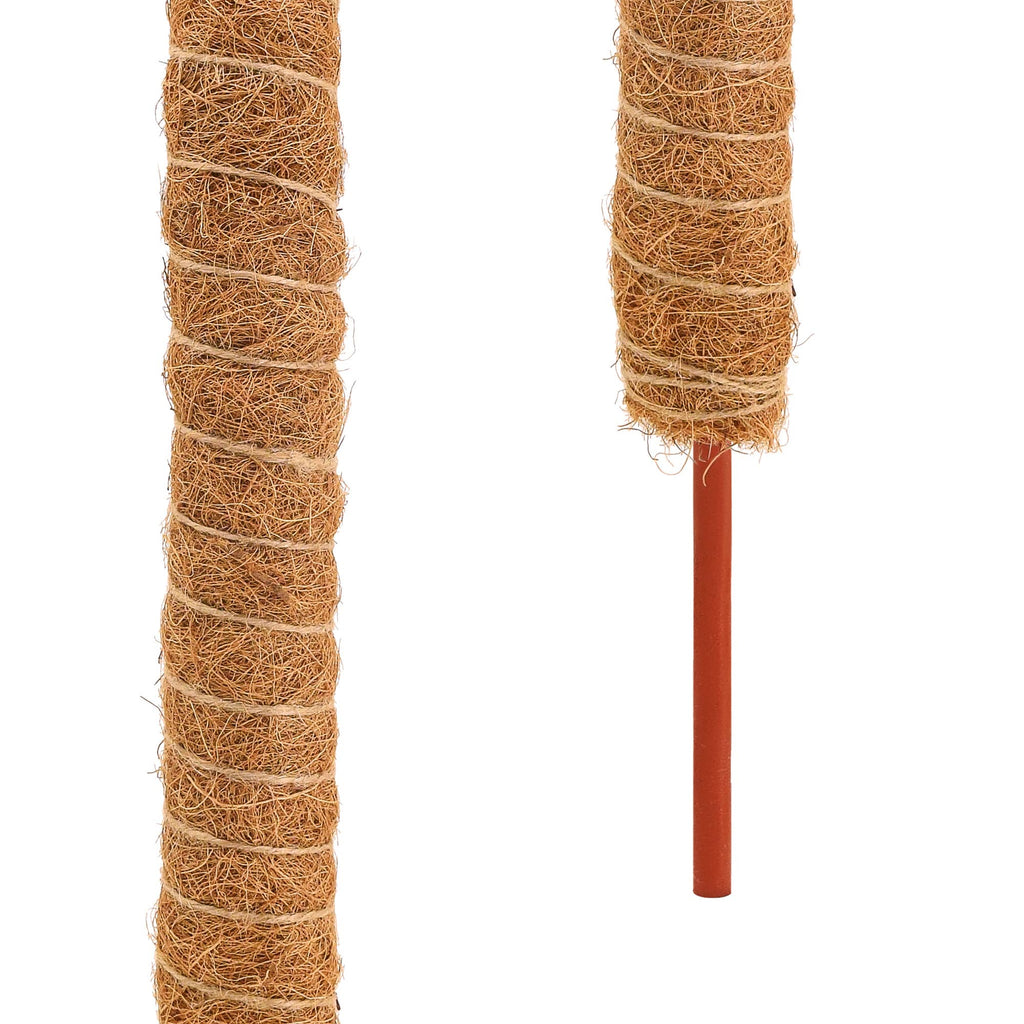 Bendable Coconut Grow Pole - 24"