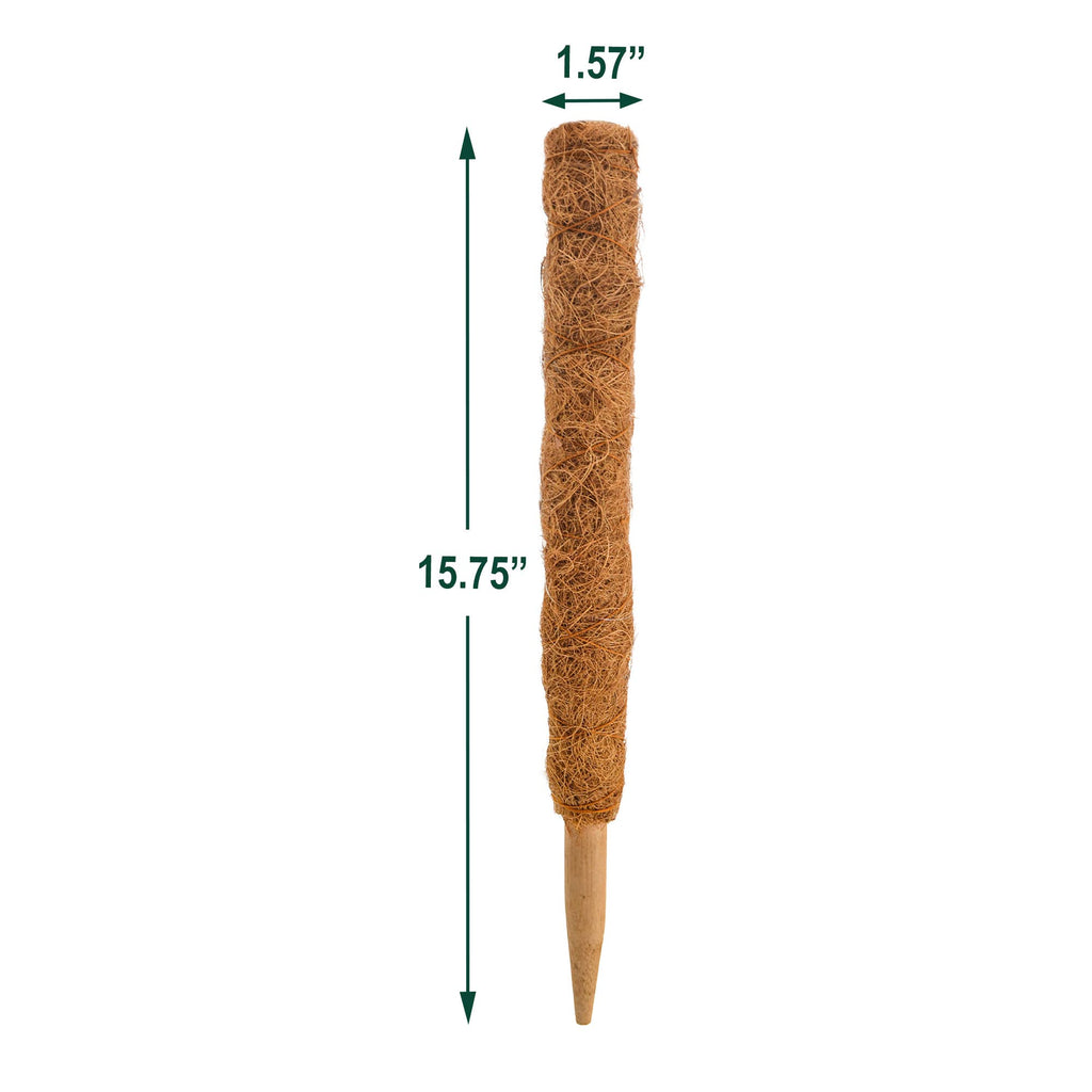 Coconut Grow Pole - 15.8"