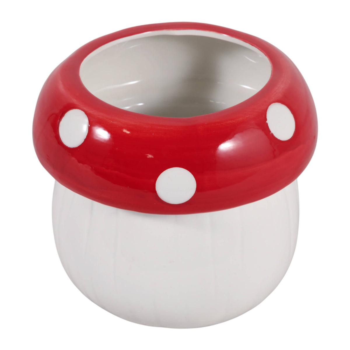 Polka-Dot Mushroom 5 in