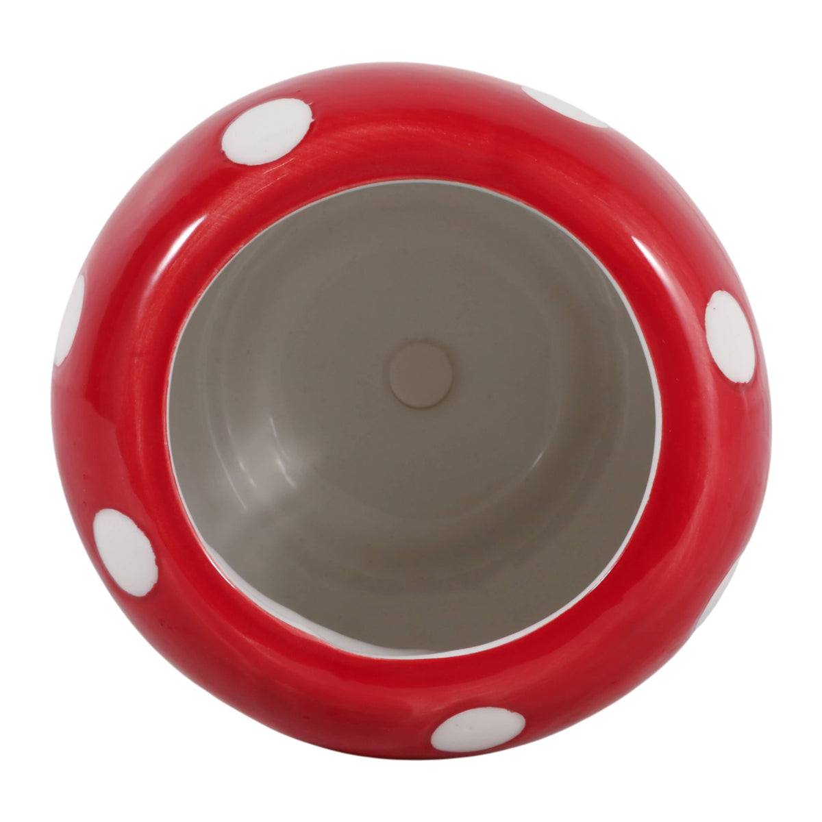 Polka-Dot Mushroom 5 in