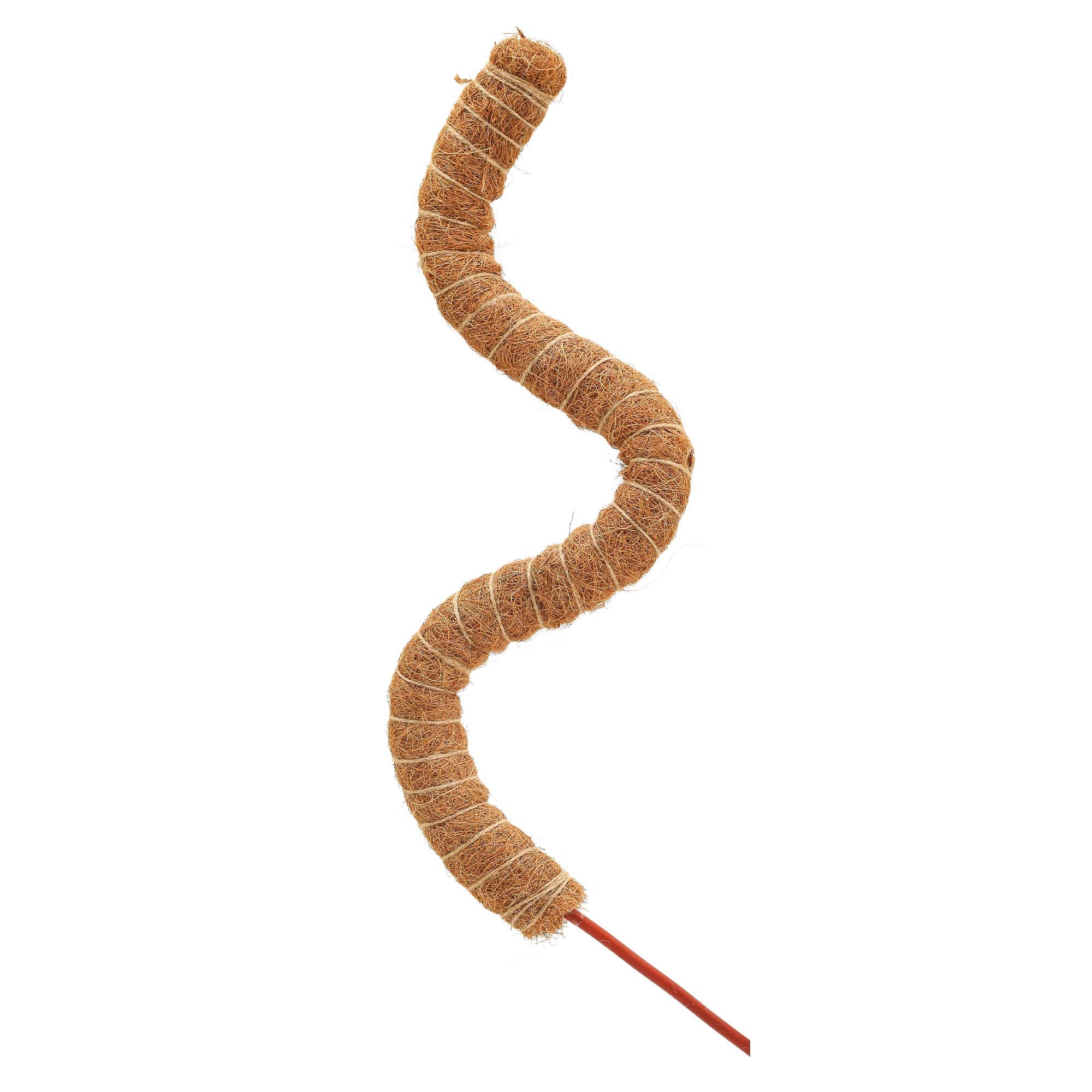 Bendable Coconut Grow Pole - 24"