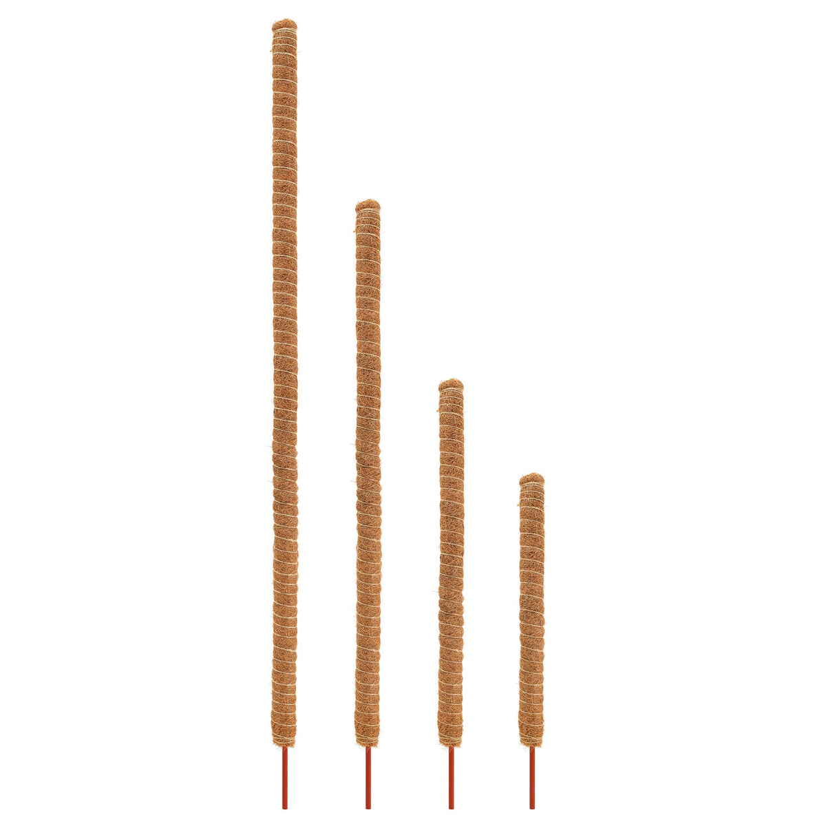 Bendable Coconut Grow Pole - 24"