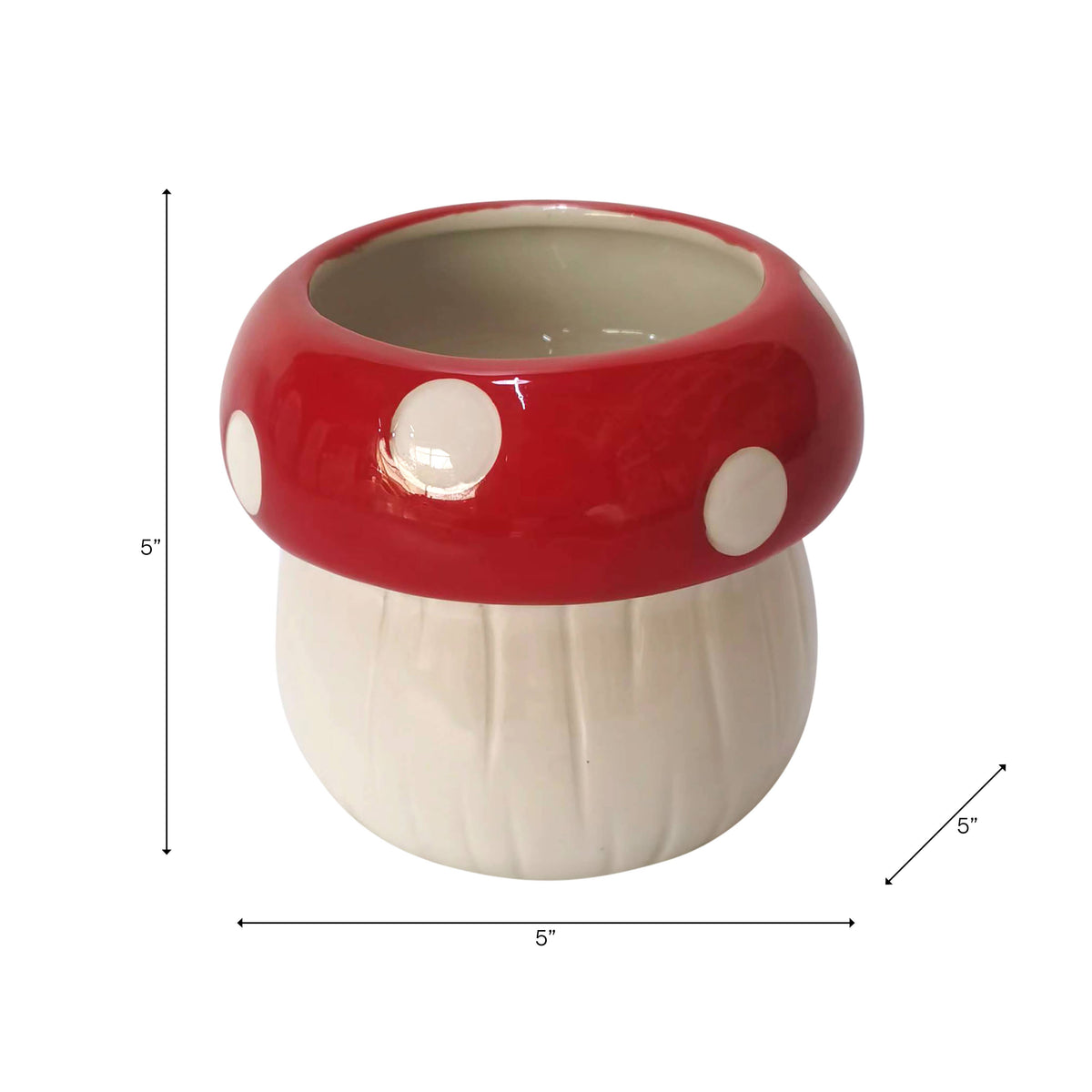 Polka-Dot Mushroom 5 in