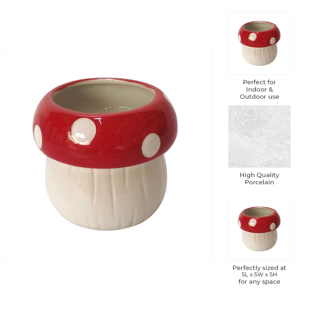 Polka-Dot Mushroom 5 in