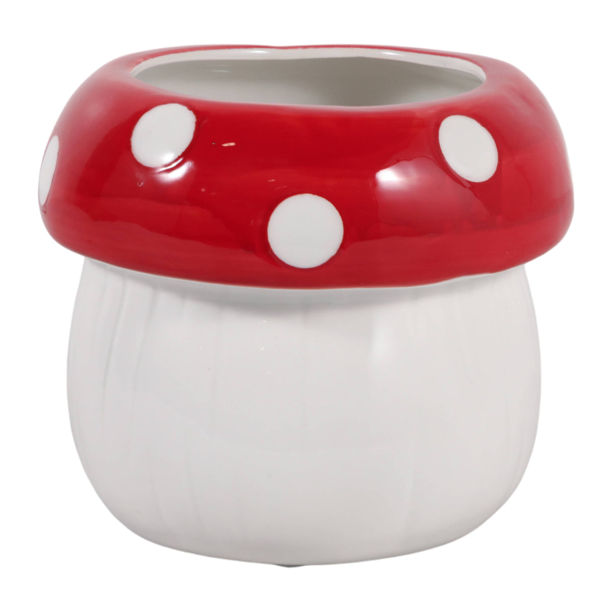 Polka-Dot Mushroom 5 in
